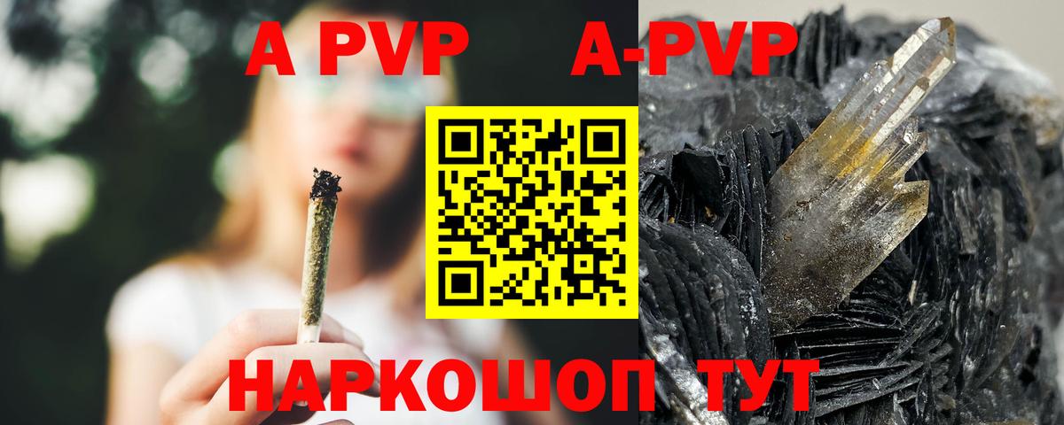A PVP СК КРИС Аргун