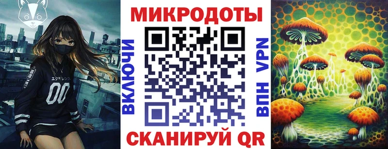 закладки  Аргун  Галлюциногенные грибы MAGIC MUSHROOMS 