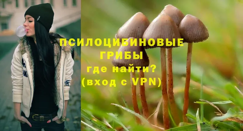 Галлюциногенные грибы MAGIC MUSHROOMS  площадка клад  Аргун 