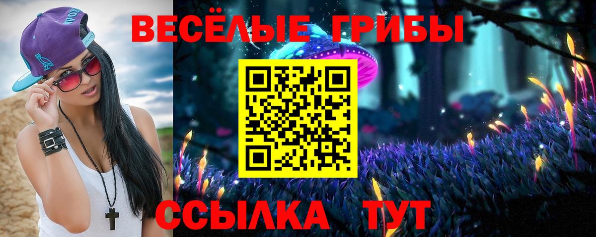 Псилоцибиновые грибы Cubensis Аргун