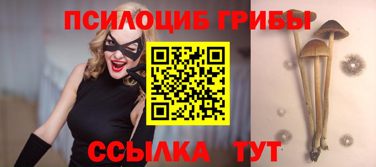 Псилоцибиновые грибы ЛСД  Аргун 