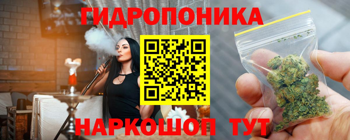 Конопля гибрид Аргун